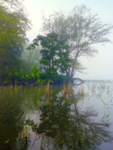 Bright summer day on a private Michigan lake