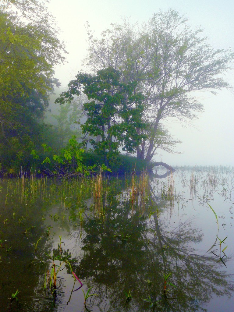 Bright summer day on a private Michigan lake